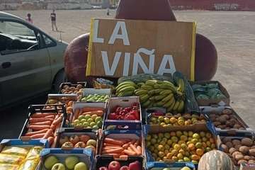 Romería de La Viña 2022/TA.