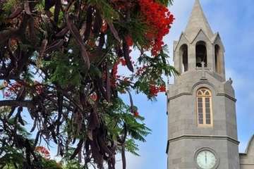  Telde: bajo la sombra del flamboyán/Jesús Ruiz Mesa.