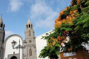  Telde: bajo la sombra del flamboyán/Jesús Ruiz Mesa.