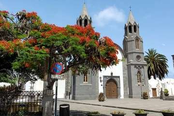  Telde: bajo la sombra del flamboyán/Jesús Ruiz Mesa.