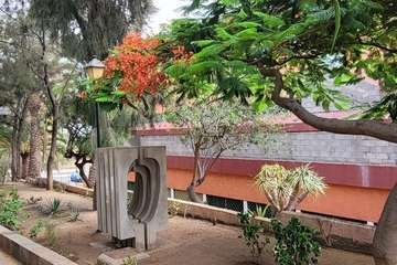  Telde: bajo la sombra del flamboyán/Jesús Ruiz Mesa.