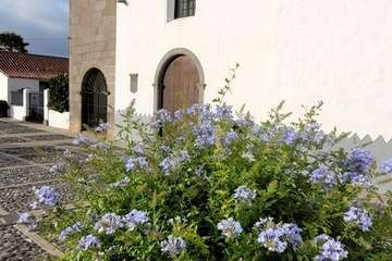  Telde: bajo la sombra del flamboyán/Jesús Ruiz Mesa.