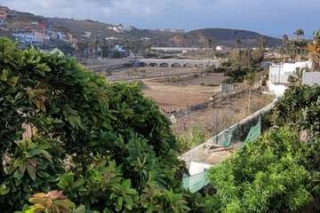  Telde: bajo la sombra del flamboyán/Jesús Ruiz Mesa.