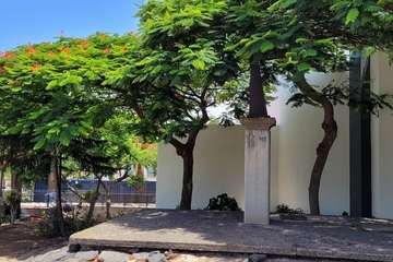  Telde: bajo la sombra del flamboyán/Jesús Ruiz Mesa.