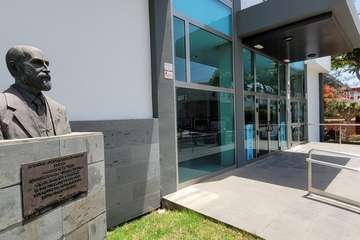  Telde: bajo la sombra del flamboyán/Jesús Ruiz Mesa.