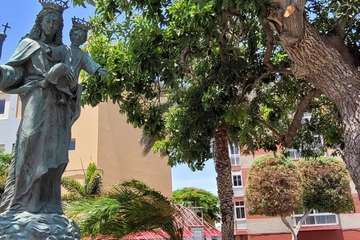  Telde: bajo la sombra del flamboyán/Jesús Ruiz Mesa.