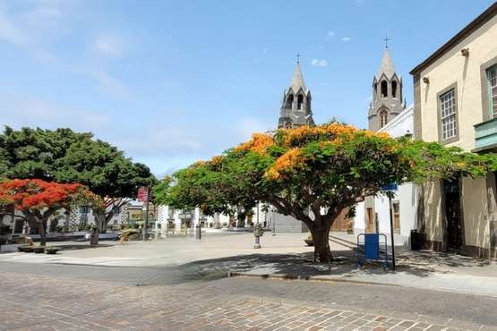  Telde: bajo la sombra del flamboyán/Jesús Ruiz Mesa.