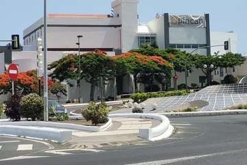  Telde: bajo la sombra del flamboyán/Jesús Ruiz Mesa.