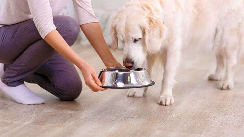 Reparto de pienso/TA.