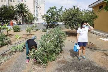 Telde cede una parcela para un huerto para personas con autismo/Canarias//Cober.