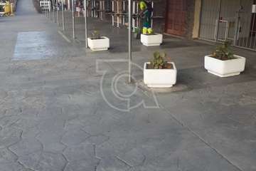 Melenara se alista para la gran noche de este sábado/TA.