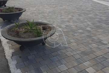 Melenara se alista para la gran noche de este sábado/TA.