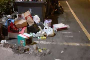 El dispositivo de limpieza retiró 2,5 toneladas de residuos de Melenara tras los fuegos/TA.