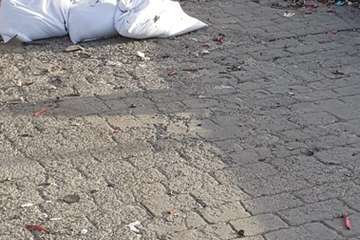 El dispositivo de limpieza retiró 2,5 toneladas de residuos de Melenara tras los fuegos/TA.