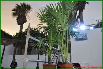 La alcaldesa pregona las fiestas de la playa de Ojos de Garza en honor del Santo Cristo/TA y TF.