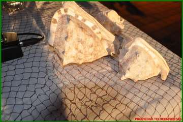 La alcaldesa pregona las fiestas de la playa de Ojos de Garza en honor del Santo Cristo/TA y TF.