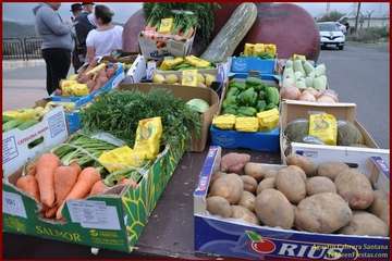 Romería popular en Caserones Altos/TF.