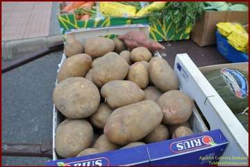 Romería popular en Caserones Altos/TF.