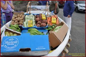 Romería popular en Caserones Altos/TF.