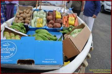 Romería popular en Caserones Altos/TF.