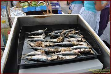 Romería popular en Caserones Altos/TF.