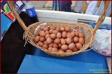 Romería popular en Caserones Altos/TF.