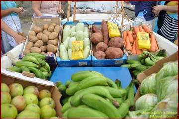 Romería popular en Caserones Altos/TF.