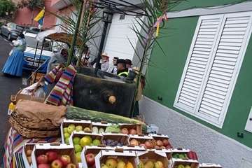 Romería-ofrenda en el Valle de los Nueve Alto/TA y TF.