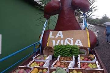 Romería-ofrenda en el Valle de los Nueve Alto/TA y TF.