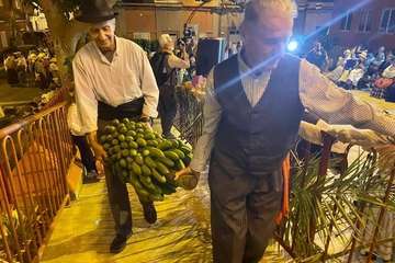 Romería-ofrenda en el Valle de los Nueve Alto/TA y TF.