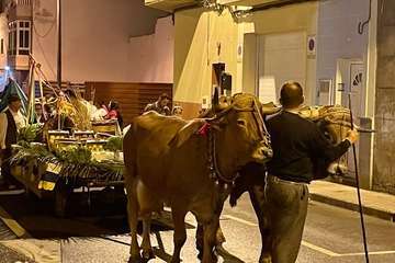 Romería-ofrenda en el Valle de los Nueve Alto/TA y TF.