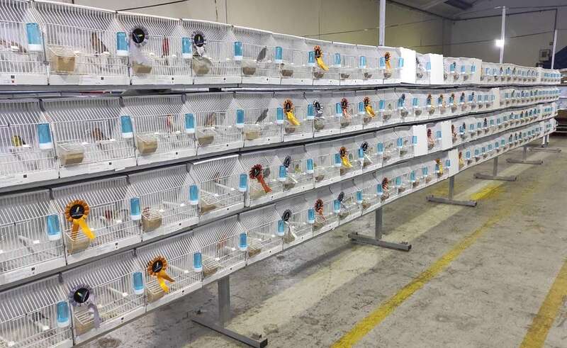 Imagen de parte de la exposición montada en Telde/TA.