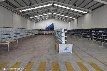 Telde acoge una exposición de 1.600 pájaros/TA.