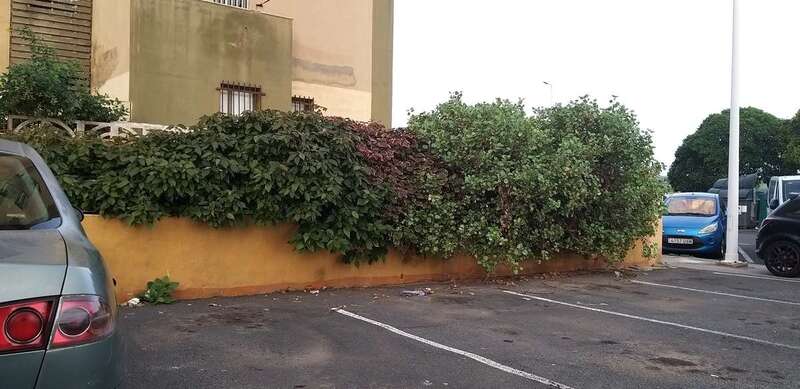 Imagen de la zona de la Loma de las Brujas, en Jinámar / TA