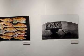 Exposición fotográfica del grupo Enfoques Photoart en Telde/Jesús Ruiz Mesa.