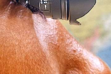 Exposición fotográfica del grupo Enfoques Photoart en Telde/Jesús Ruiz Mesa.