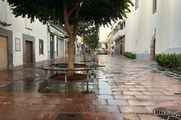  El entorno de Los Llanos, limpio como una patena/TA.