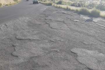 Eucaliptos II se queja de su estado de 