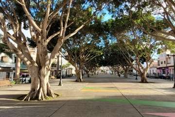 Los antiguos alumnos del Instituto Laboral de Telde renuevan su amistad tras la pandemia/Jesús Ruiz Mesa.