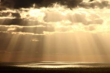 Los antiguos alumnos del Instituto Laboral de Telde renuevan su amistad tras la pandemia/Jesús Ruiz Mesa.