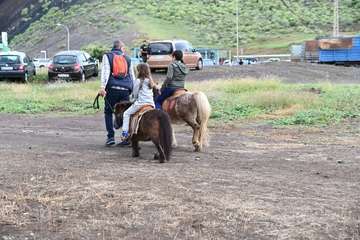 La feria de ganado y la venta de productos típicos animan el día principal de las fiestas de Jinámar/Antonio Alí.