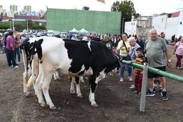 La feria de ganado y la venta de productos típicos animan el día principal de las fiestas de Jinámar/Antonio Alí.