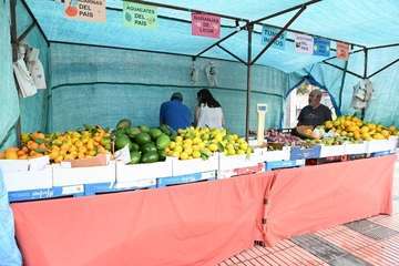 La feria de ganado y la venta de productos típicos animan el día principal de las fiestas de Jinámar/Antonio Alí.