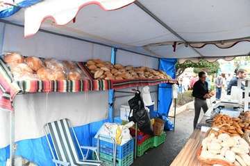 La feria de ganado y la venta de productos típicos animan el día principal de las fiestas de Jinámar/Antonio Alí.