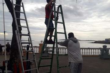 La Plaza de Los Pinos (Clavellinas), en modo navideño/TA.