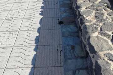 Incivismo al por mayor en La Garita: trastos, escombros y cagadas de perros/TA.