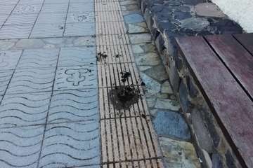 Incivismo al por mayor en La Garita: trastos, escombros y cagadas de perros/TA.