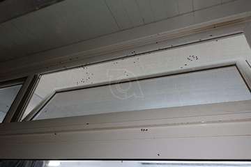 Una plaga de moscas mortifica a vecinos de Las Remudas (Telde)/TA.