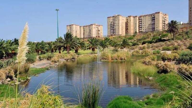 Imagen del Parque de las Mil Palmeras / TA