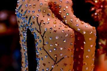 Ácrux y Kinegua, dos drags de Telde en la final de la gala para elegir la Reinona del carnaval capitalino/Lpacarnaval.